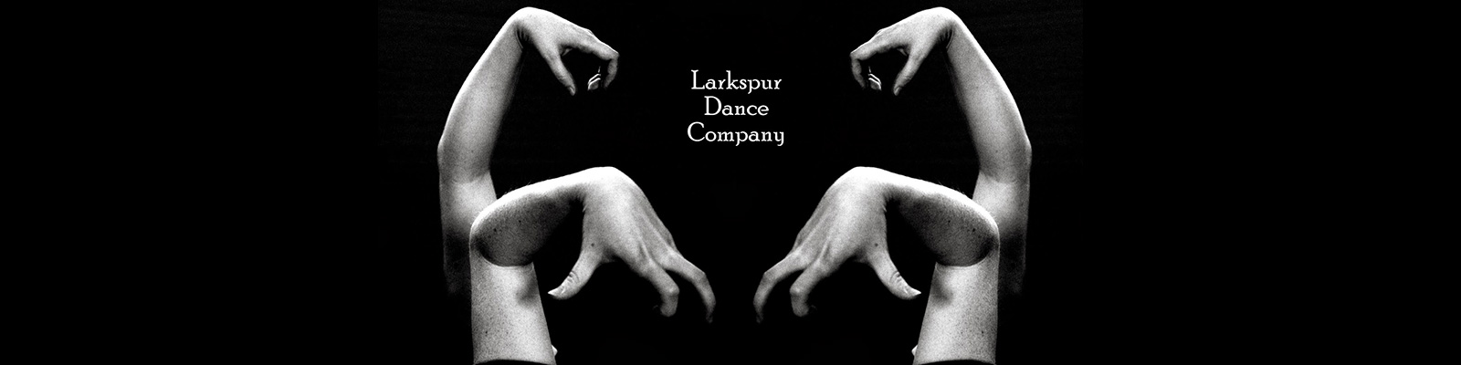 Larkspur Dance Company Logo